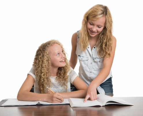 Calculus tutor service Vancouver